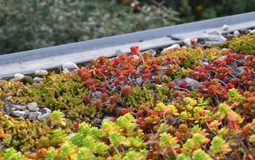 the cost of Naid Y March green roof installation