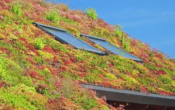 Naid Y March living roof systems