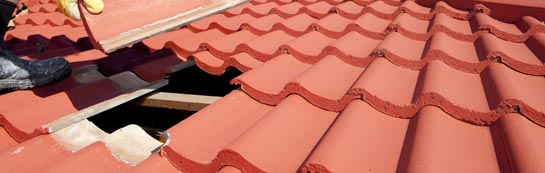 compare Naid Y March roof repair quotes